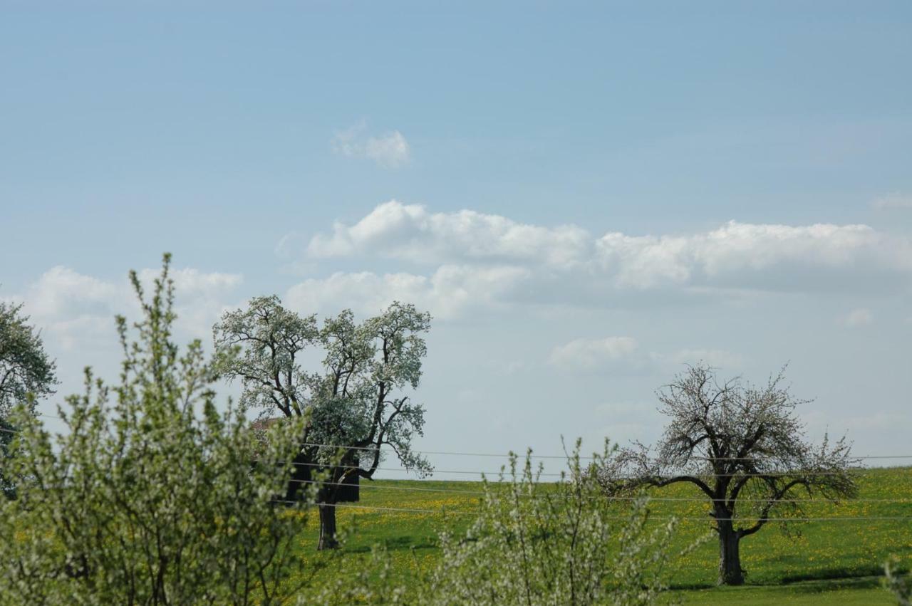 Altes Schulhaus Appartement Argenbuhl Buitenkant foto
